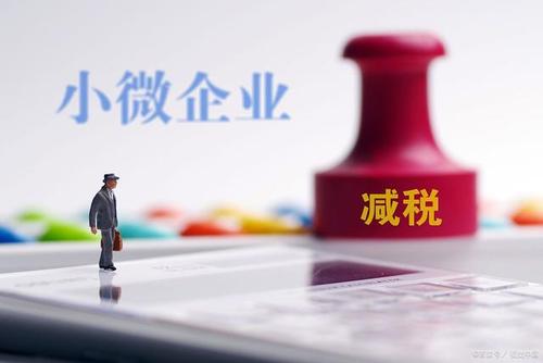 至年底，山東免除個(gè)體工商戶(hù)和小微企業(yè)免一切稅費